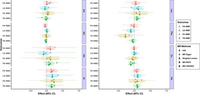 Relationship Between Serum Amino Acid Levels and Bone Mineral Density: A Mendelian Randomization Study